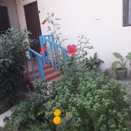 Guesthouse Zeinabi Tiflis Dış mekan fotoğraf