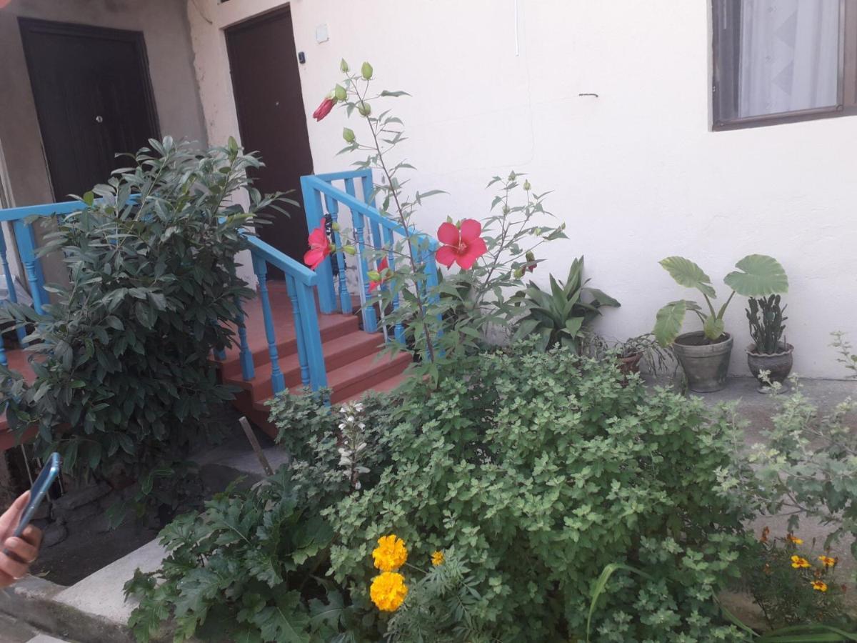 Guesthouse Zeinabi Tiflis Dış mekan fotoğraf